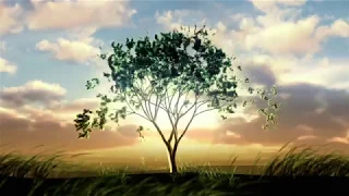 Tree Growing Animation