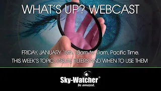 What's Up? Webcast: Visual Filters & When to Use Them