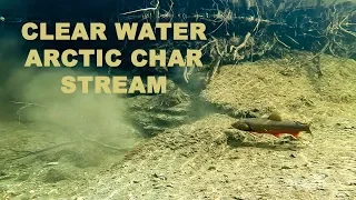 Fishing in Lapland - TINY Arctic Char Creek full with fish! With underwater proof.