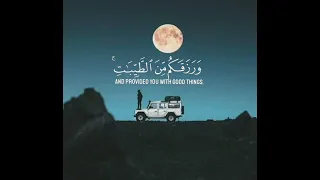 رعد الكردي