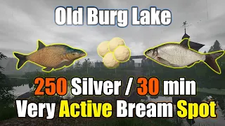 🎣Russian Fishing 4 RF4 - Old Burg Lake Very Active Bream Spot#284