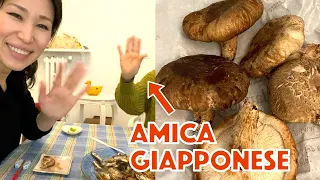 pranzo giapponese in Italia con funghi SHITAKE