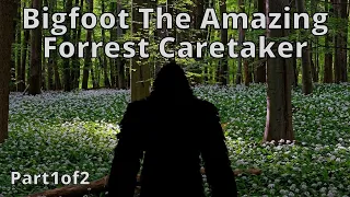 (Prt1)Bigfoot Take Care Of All In His Forrest Mystery True SAROY Story | (Strange But True Stories!)