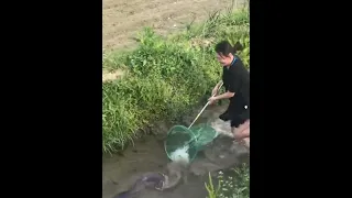 Fishing Dry Season! Found & Catching a lot Catfish Underground Hole in Dry Lake by Technique Tools
