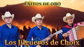 Los Jilgueros de Choix Mix 2024 / Puras Rancheras Viejitas / Éxitos De Oro