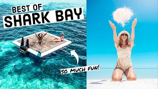 Highlights of Shark Bay! 🦈Shell Beach & Monkey Mia | WA Road Trip Vlog