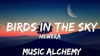 NewEra - Birds In The Sky (Lyrics)  | 25mins - Feeling your music