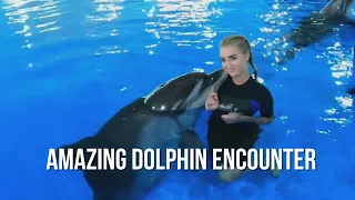 Amazing Dolphin Encounter | Fun Activities in Dubai | Must-Visit Dolphinarium