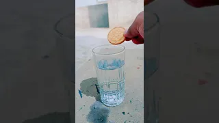 Biscuits VS Sugar Water Experiment | Simple Science Experiment #shorts #experiment