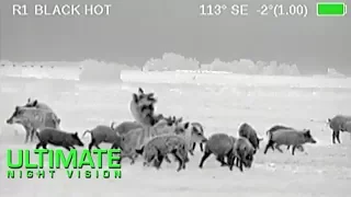 Wild Boar Hunting in Texas | 40 Hogs Down with the Armasight Zeus Thermal Scope