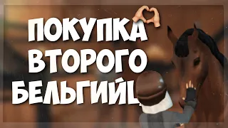 ПОКУПКА ВТОРОГО БЕЛЬГИЙЦА в Star Stable