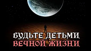 "Будьте детьми вечной жизни". Али ибн Абу Талиб.