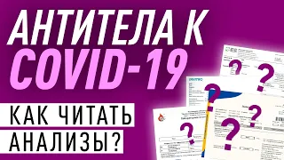 Антитела к коронавирус. Как правильно читать анализы?