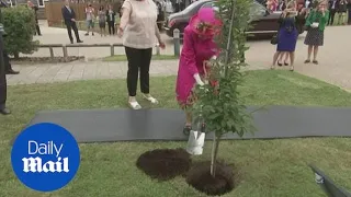 'I can still plant a tree': Queen refuses help during Cambridge trip