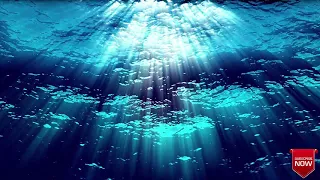 Under Ocean Sound For  Meditation and Sleep