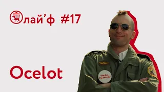 #17 Будочный Лай'ф | Ocelot