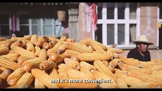 Climate Protection Project: Cooking with corn cobs instead of coal in China  – myclimate