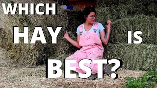 What type of HAY should you get for your goats!