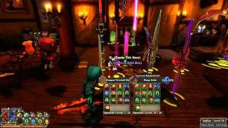 Dungeon Defenders How to Build A DPS Monk