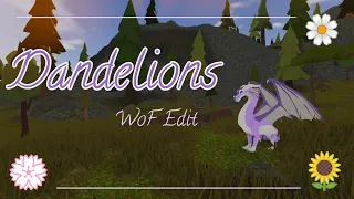 🌼 Dandelions 🌼 Edit (Wings of Fire Beta)