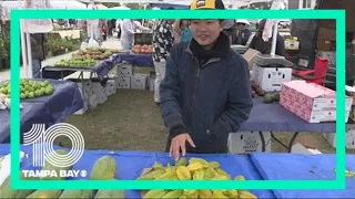 Pinellas County Asian farmers market shares food, culture in Tampa Bay
