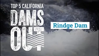 Rindge Dam - California Trout Top 5 Dams Out