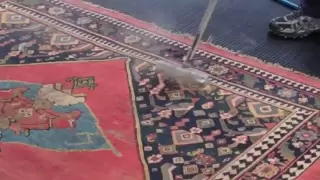 WATCH AS WE WASH AN ANTIQUE RUG!