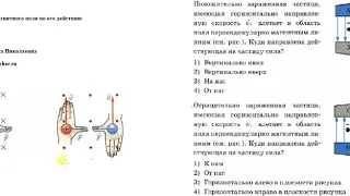 Физика. 9 класс. Обнаружение магнитного поля.Татьяна Николаевна. Profi-Teacher.ru