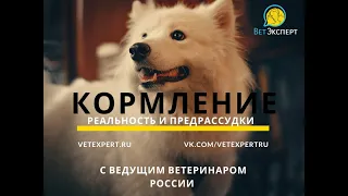 10 глупых вопросов ветеринару. Кормление: реальность и предрассудки