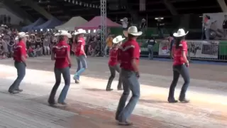 Fast As A Shark line dance - WILD COUNTRY - Voghera Country Festival 2012