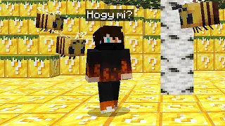 Minecraft, de az Egész Világ Lucky Block!