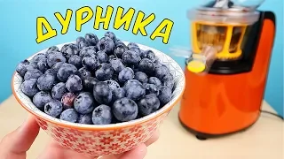 Что если выжать сок из Дурники (Голубики)? Дурника - самая крутая ягода в мире! alex boyko