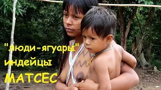 Part 2  "Jaguar People" – the Matses Indians.  "Люди-ягуары" –  индейцы Матсес.