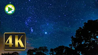 Starlit Symphony: Healing Music Accompanied by 4K Night Sky Video