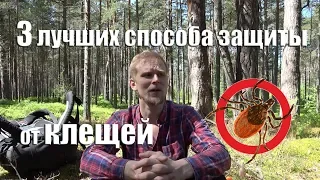 3 ЛУЧШИХ СПОСОБА ЗАЩИТИТЬСЯ ОТ КЛЕЩЕЙ.