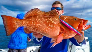 BIG Fish CAN'T RESIST Colorful Jigs┃Catch, Clean & Cook