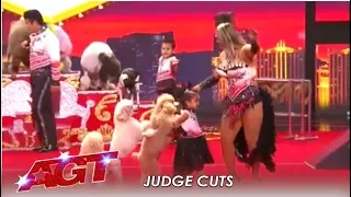 Dominguez Poodles: Simon's Favorite Dog Act Ends In CHAOS! | America's Got Talent 2019