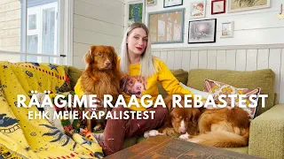 (PEAAEGU) KÕIK RAAGA REBASTEST ehk meie koertest