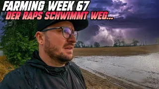 Farming Week 67 | Zu viel Wasser in 3 Stunden | Der Raps säuft ab