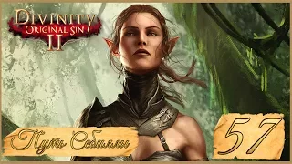 Divinity: Original Sin II ★ 57: Трагедия Гарета