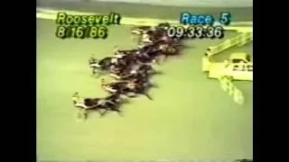 1986 Roosevelt Raceway GRADES SINGING American Trotting Championship