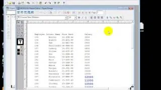 Oracle Report Training Bangladesh: Conditional formating