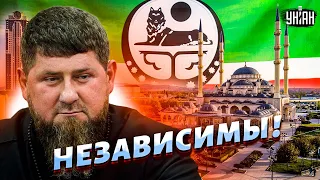 Чечня "объявила" независимость и отказалась выполнять российские законы