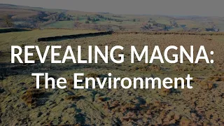 Revealing Magna: The Environment