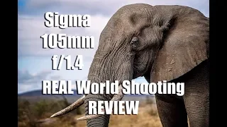 Sigma 105mm f/1.4 Lens Real World Shooting Review- the new Wide Aperture Bokeh Monster Lens!