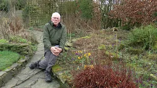 Wildlife Garden Diary  For January & February 2023