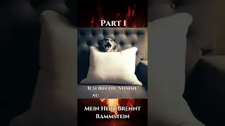 Mein Herz Brennt - Rammstein - visualized lyrics Part 1/7 #shorts