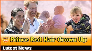 Prince Archie Looks So Grown Up, He Has Red Hair Like Prince Harry - NPV News