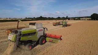 Harvest 2022 With two Claas Lexions