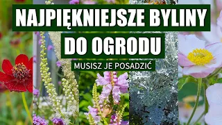 6 niesamowitych bylin do ogrodu. Musisz je posadzić